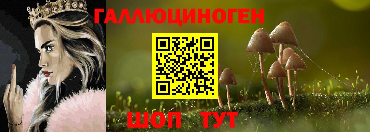 Галлюциногенные грибы Psilocybine cubensis  Вход с VPN  Екатеринбург 